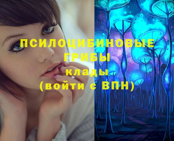 ECSTASY Нязепетровск