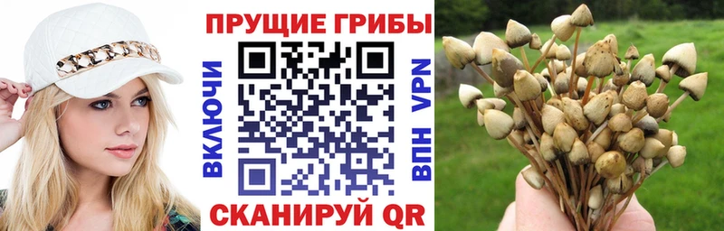 Псилоцибиновые грибы ЛСД  Трубчевск 